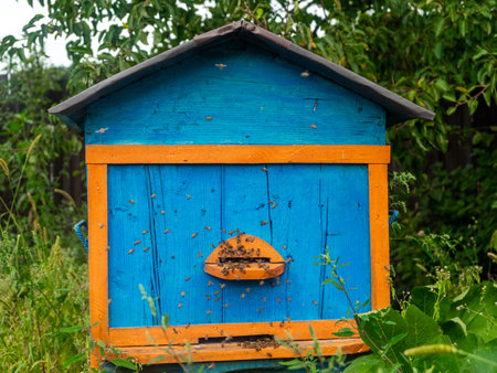 Beehive blue yellow color in green gardenの写真素材
