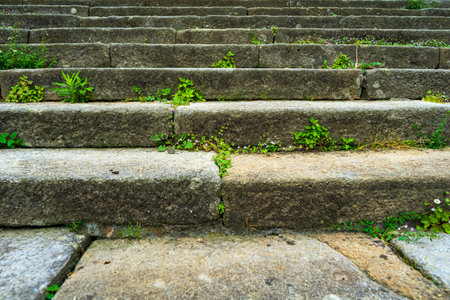 Old granite steps overgrown with green grass and flowers.