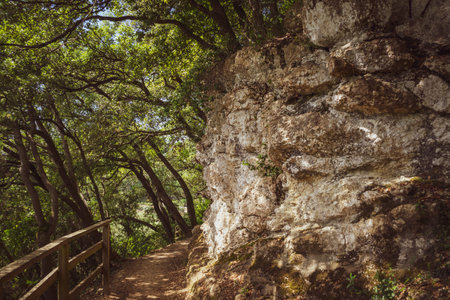 A trail with a wooden fence. Saint James Way Walking Route, North El Camino de Santiago