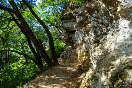 Hiking trail in a mountainous area, Basque Country, Spain. Northern Way of St. James, Camino de Santiago.の写真素材