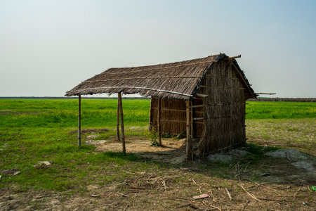 A hut made of reeds and bamboo in a field