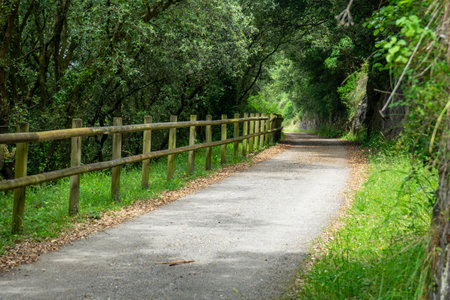 walking path with wooden fencing. Camino de Santiago, Basque Country, Spain.