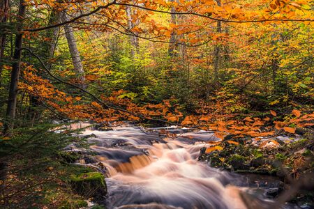 21/10-17, VargÃ¶n, Sweden. Beautiful Byklevsfallet during autumn.の写真素材