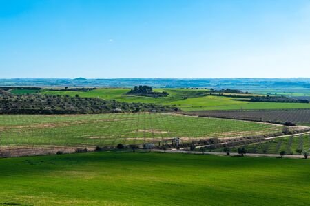 February 19, 2020 - Belianes-Preixana, Spain. Plantations on the plains of Belianes-Preixana on a sunny winter day.の写真素材