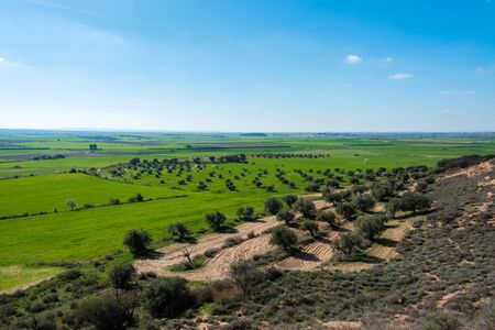 February 19, 2020 - Belianes-Preixana, Spain. Plantations on the plains of Belianes-Preixana on a sunny winter day. The town of Preixana is seen in the distance.の写真素材
