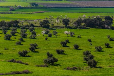 February 19, 2020 - Belianes-Preixana, Spain. Plantations on the plains of Belianes-Preixana on a sunny winter day.の写真素材