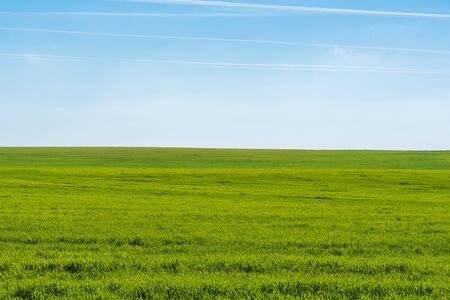 Photo of a green grass field with a blue sky with a little bit of haze.の写真素材