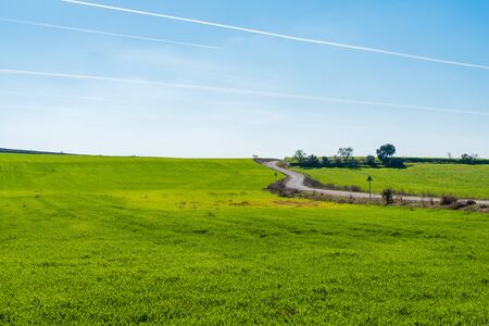 A gravel road dissapearing over a green grassy hill on the plains of Belianes-Preixana.の写真素材