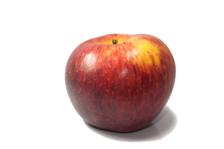Red Appleの写真素材