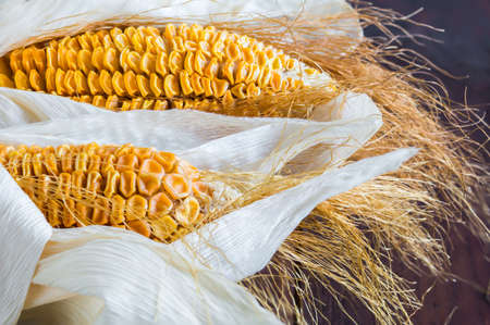 Dried Corn Stalk on wood tableの写真素材