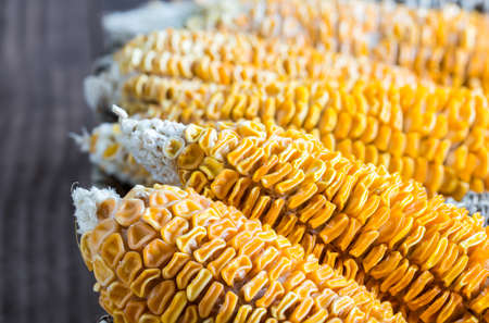 Dried Corn Stalk in basket on wood table