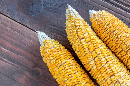 Dried Corn Stalk on wood table
