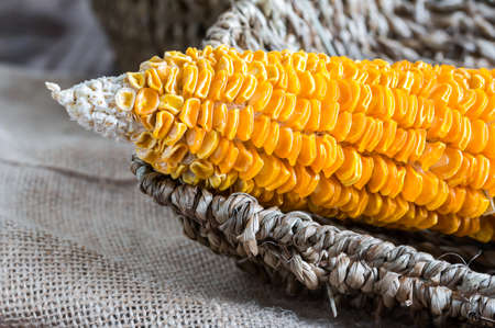 Dried Corn Stalk in basket on wood tableの写真素材