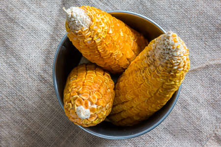 Dried Corn Stalk in bucket on gunnyの写真素材