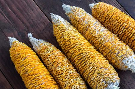 Dried Corn Stalk on wood tableの写真素材