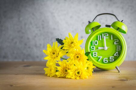 Chrysanthemum and Clock on Wood Table , Still Life