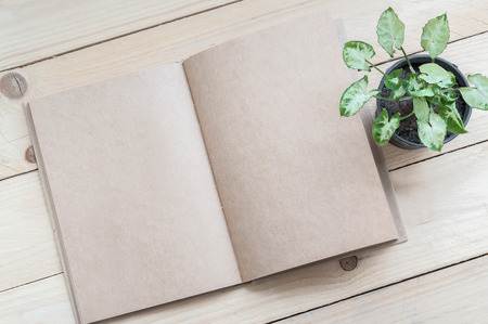 Brown Notebook and plant on wood table backgroundの写真素材