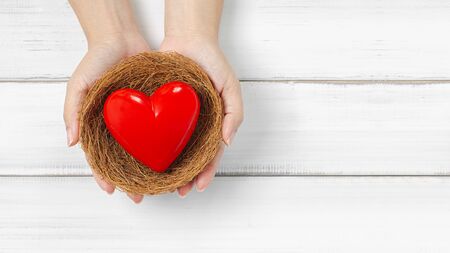 Woman Hands Hold Red Heart in bird nest on white wood background. Protect Love or Health Concept with Copy Space.の写真素材