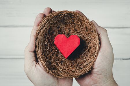 Man Hands Hold Red Paper Heart in bird nest on white wood background. Protect Love or Health...