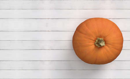 One orange pumpkin over white wood background. Thanksgiving concept, top viewの写真素材