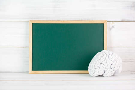 Greenboard with Brain on white wood background , empty board , Thinking Idea education concept.の写真素材