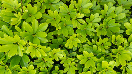 Close view of green plant leaves beside a red fire hydrant