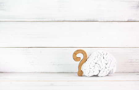 Curiosity and Intelligence: White Brain Model with Wooden Question Mark on White Background