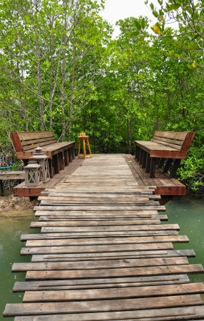 Relax corner located on mangrove forestの写真素材