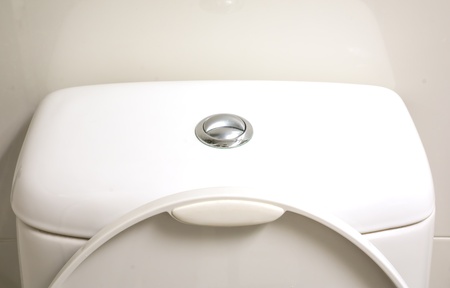 The metal button of toilet compose of normally and water saving bottonの写真素材