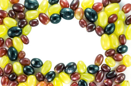 Isolated style picture of grape in tree color as black, red and greenの写真素材