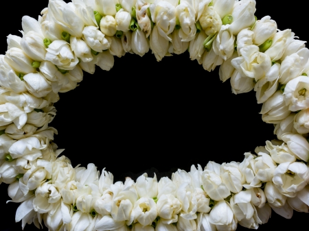 Frame style picture of the bouquet jasmine on black screen