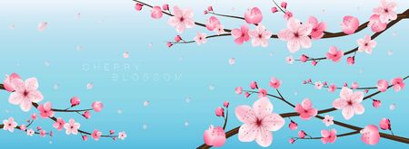cherry blossom realistic vector, sakura, japan, blur backgroundのイラスト素材