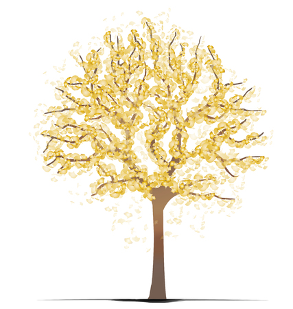 Ginkgo Treeのイラスト素材