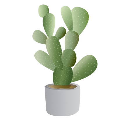 Cactus Plant with potのイラスト素材