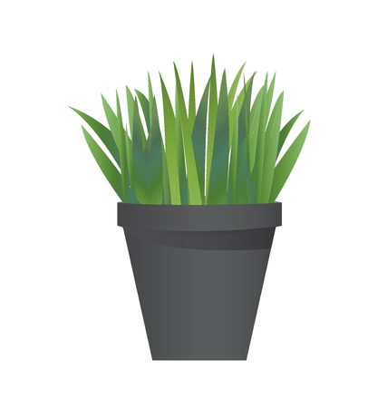 Grass with potのイラスト素材
