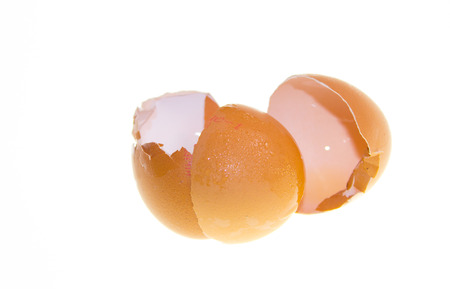 Shell from an egg on a white background