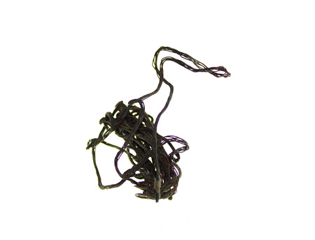 Black wire on white backgroundの写真素材