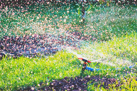 Water fountainの写真素材