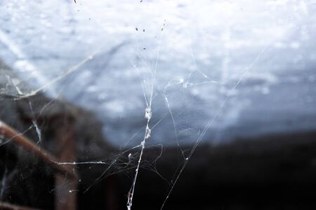 The web is closing. Web in the ceiling lightの写真素材