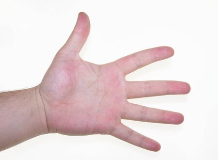 open hand on white backgroundの写真素材