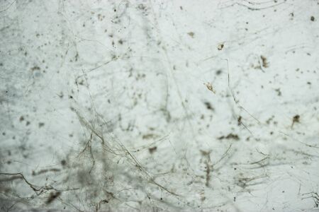 The web is closing. Web in the ceiling lightの写真素材