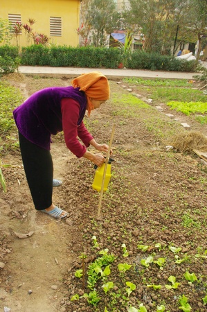 les femmes dans les fils de légumes duのeditorial素材