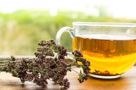 A cup of tea with oregano herb on wooden table near the window. Lifestyle autumn background.の写真素材