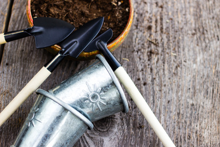 Gardening tools and hyacinth flower. Spring and summer cultivating plants. Earth environment and nature growing close up.の写真素材
