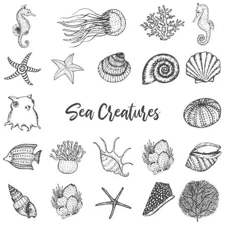Sea Animals and Ocean Creatures Hand drawn Sketches Set. Coral, Sea horse, Seashells, sea stars, octopus, fishes outline vector drawing.のイラスト素材