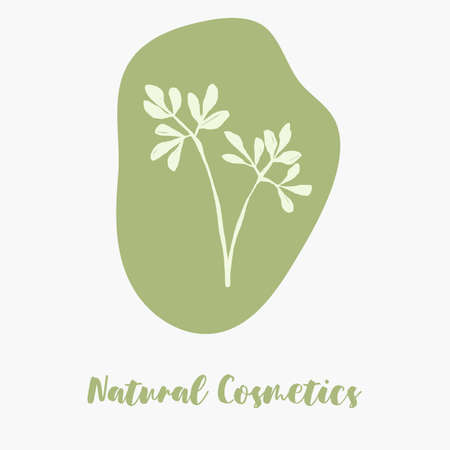 Delicate hand drawn organic icons for ecological, farm food market, healthy life and local food restaurants or organic cosmetics labels.のイラスト素材