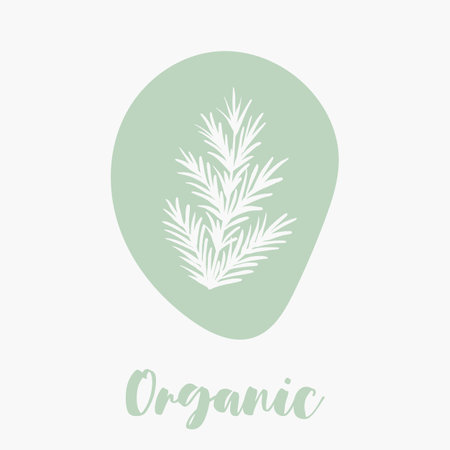 Delicate hand drawn organic icons for ecological, farm food market, healthy life and local food restaurants or organic cosmetics labels.のイラスト素材