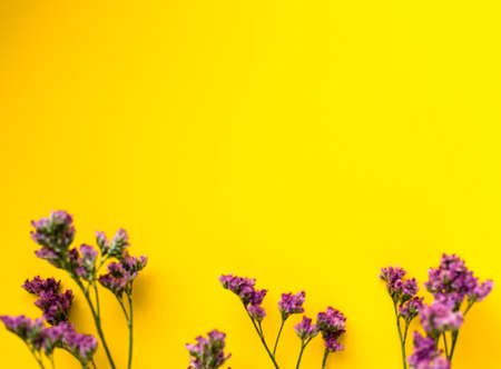 Summer Dried Flowers on Yellow Background. Minimalist flat lay background for mock-up template.の写真素材