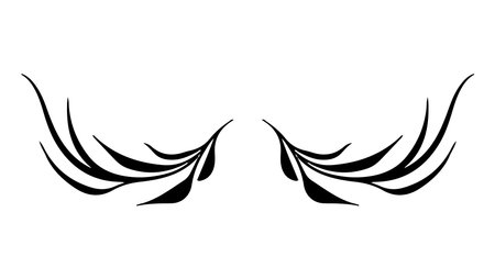 Vector Hand Drawn Calligraphic Divider. Flourishes Set. Decorative Design Elements.のイラスト素材