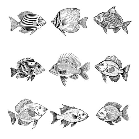 Hand Drawn Outline Sketch Fishes. Ink Drawing Sea Creature Mascot.のイラスト素材